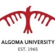 دانشگاه آلگومای کانادا